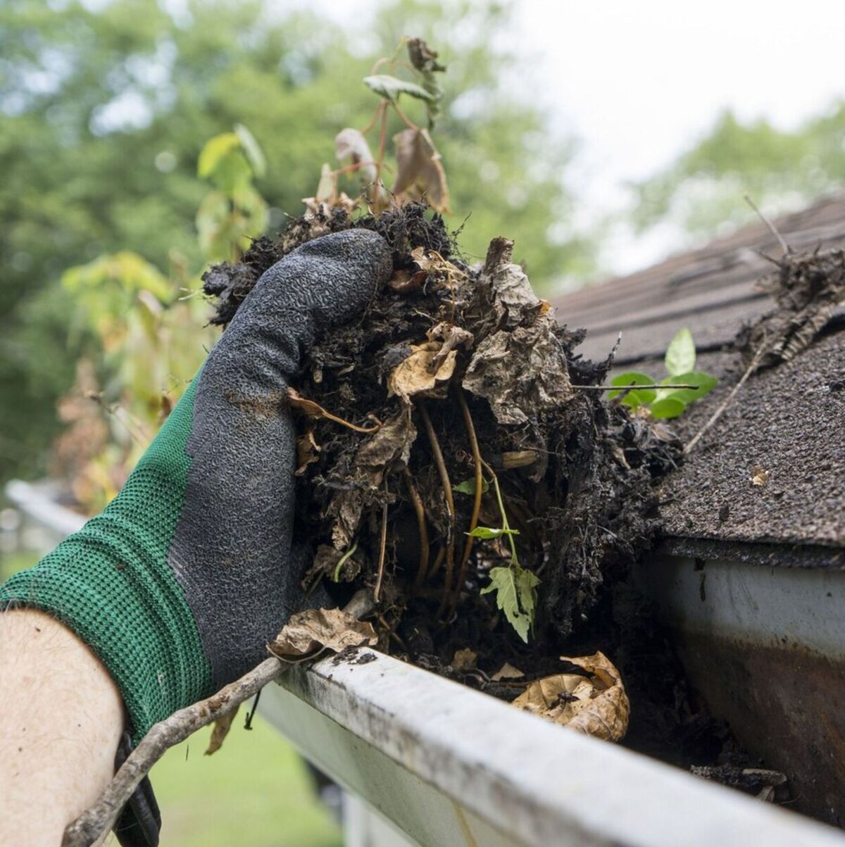 Gutter cleaning